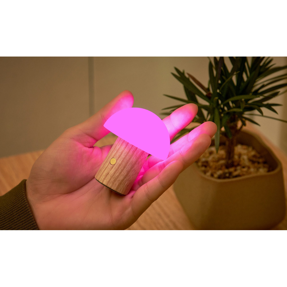 Светильник на аккумуляторе Gingko Alice Mushroom Lamp Super Mini RGB 65 мм (Белый ясень) Киев - изображение 5