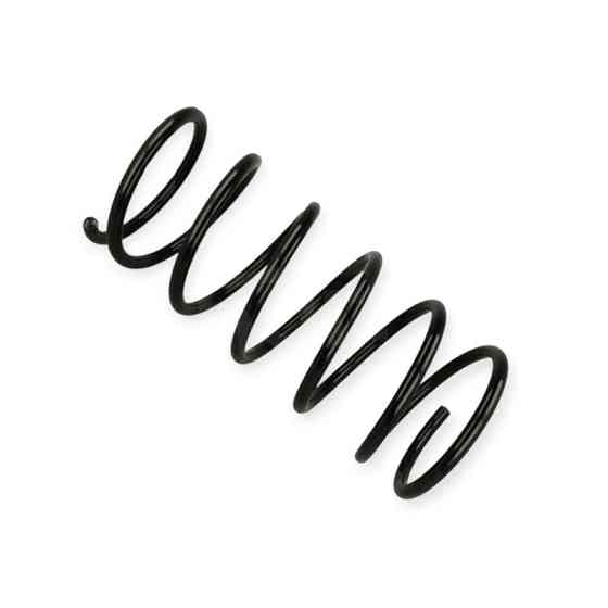 Пружина Citroen Berlingo 1.6HDi 05-, 1.9D 02- (, AC) передняя Мукачево