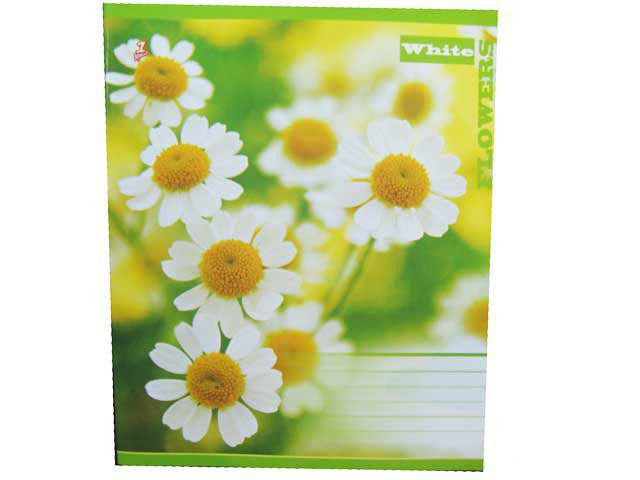 Зошит кольоровий 60листів клітинка (15 шт.) Харків - фото 1