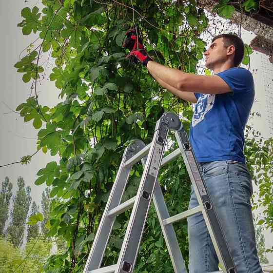 Flora Лестница многоцелевая алюминиевая 4×3 ступеней 3.56м FLORA (5031314) Коломия