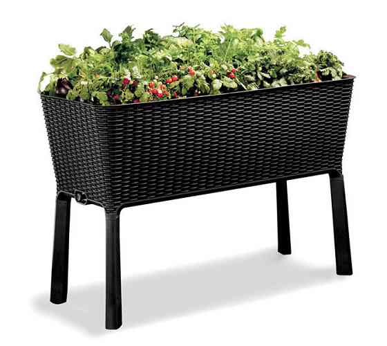 Грядка для рослин Keter Easy Grow, сіра Київ