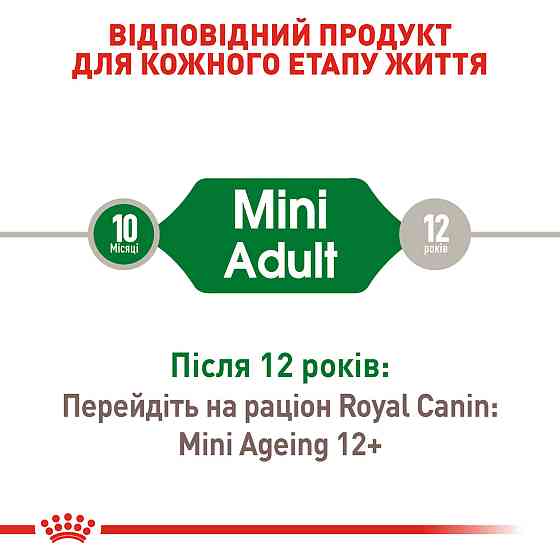 Вологий корм для дорослих собак ROYAL CANIN MINI ADULT IN GRAVY 0.085 кг Київ