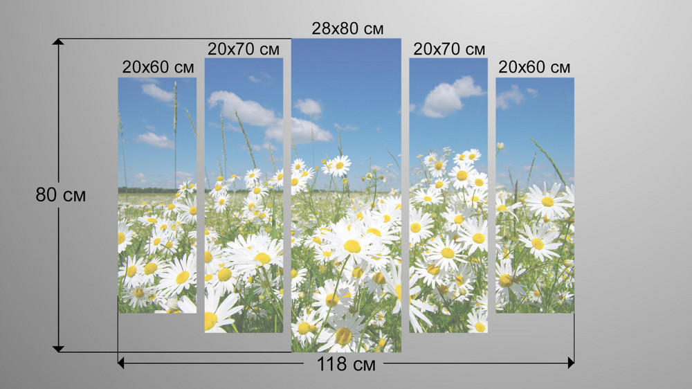 Модульна картина Ромашки Art-46_5 Київ - фото 3