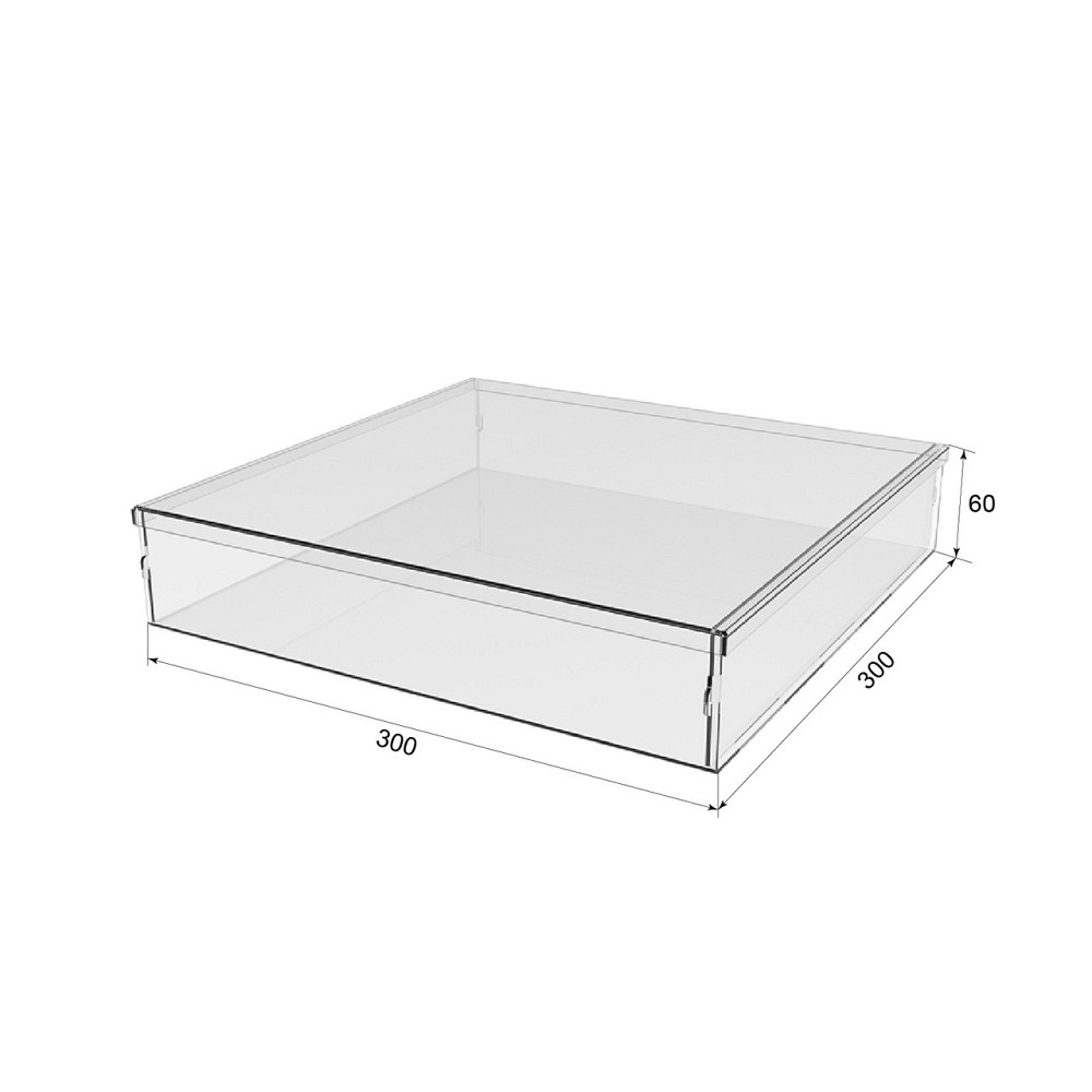 Коробка акрилова EKOSTAR 300х300х60 з кришкою Київ - фото 2