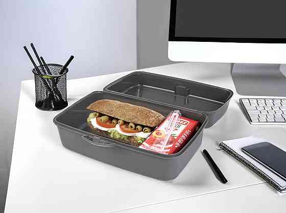 Контейнер Herevin Grey Big Lunch Box (161459-801) (7182677) Київ
