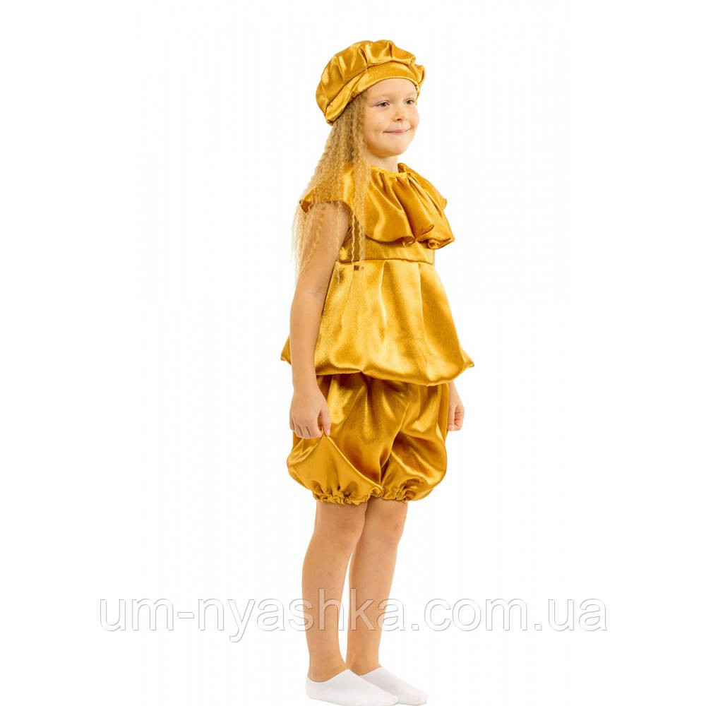 Костюм Картопля, Карнавальний костюм Картоплі Кривий Ріг - фото 3