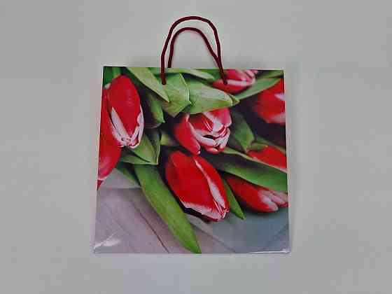 Пакет бумажный подарочный квадратный 23*24*10(артKV-058) (12 шт) Харьков