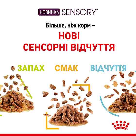 Вологий корм для дорослих котів ROYAL CANIN SENSORY SMELL JELLY 0.085 кг, стимулює нюхові рецептори Київ