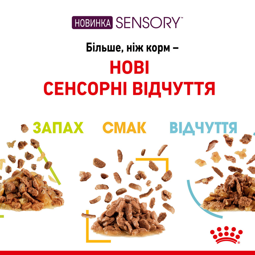 Влажный корм для взрослых кошек ROYAL CANIN SENSORY SMELL JELLY 0.085 кг стимулирует обонятельные рецепторы Киев - изображение 4