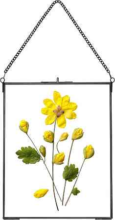 Рамка для засушених квітів подвійне скло латунна з ланцюжком прямокутна 25,4×20,3 см Київ