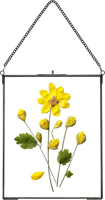 Рамка для засушених квітів подвійне скло латунна з ланцюжком прямокутна 25,4×20,3 см Київ - фото 1