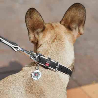 Нашийник для тварин WAUDOG Soft з QR паспортом XS Ш 15 мм Д 27-36 см чорний (7188) Вінниця