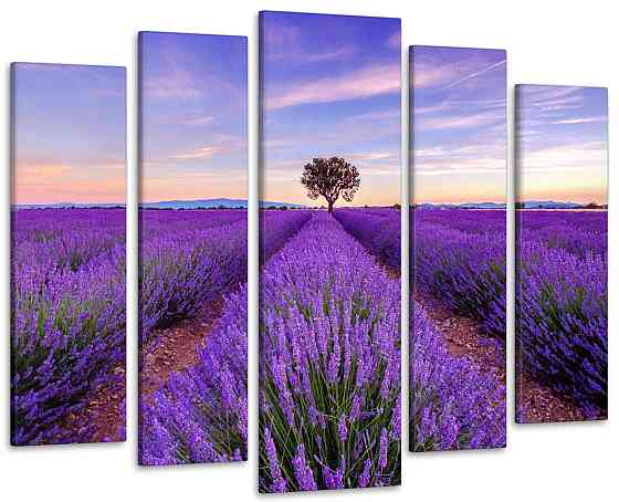 Модульна картина Полі лаванди Art-328_5 ( 80х118см ) Київ