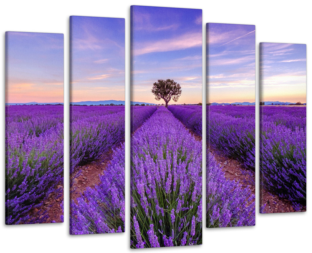 Модульна картина Полі лаванди Art-328_5 ( 80х118см ) Київ - фото 1