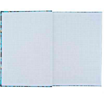 Книга записная Axent Leopard А4 в твердом переплете 96 листа клетка, голубая (8422-554-A) Винница