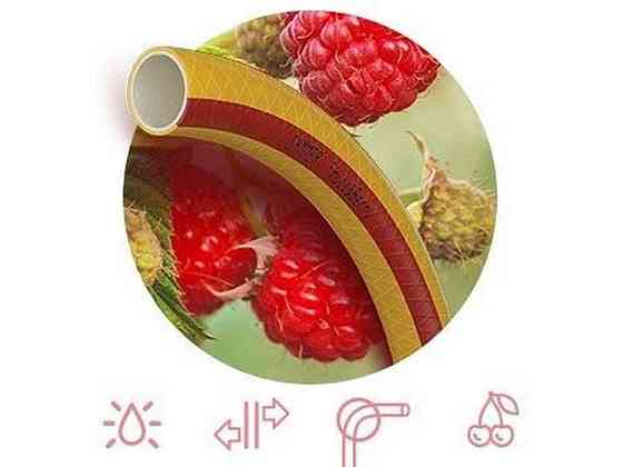 Шланг для поливу 1/2 (30м) FRUITBERRY (бухта) ТМ SYMMER Київ