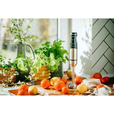 Блендер Adler AD 4628 Вінниця