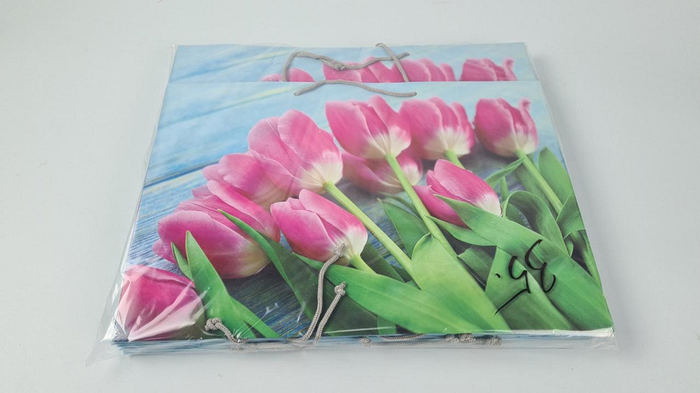 Бумажный пакет горизонтальный гигант 46*33*15 (артGG-035) (12 шт) Харьков - изображение 2