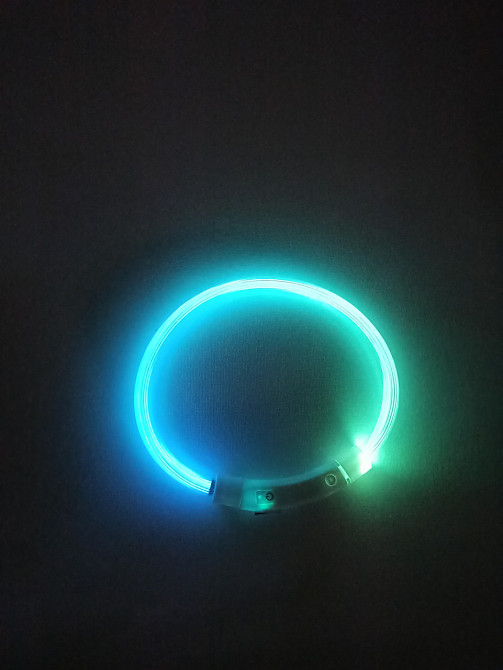 Светящийся ошейник для собак или котов с USB зарядкой три режима свечения S 35 см прозрачный мультиколор Киев - изображение 2