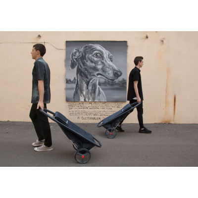 Сумка-тележка Rolser Com MF 8 Black Tube Negro (COH012-1023) (930279) Винница - изображение 7