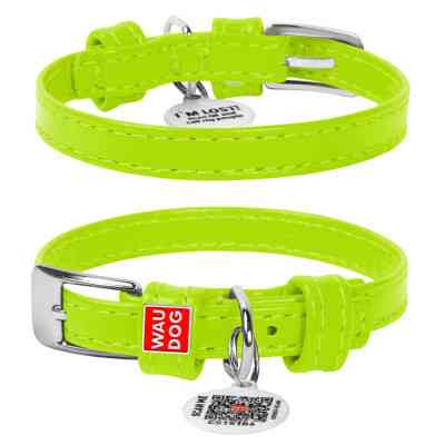 Ошейник для животных WAUDOG Glamour с QR паспортом без украшений S Ш 20 мм салатовый (32935) Винница