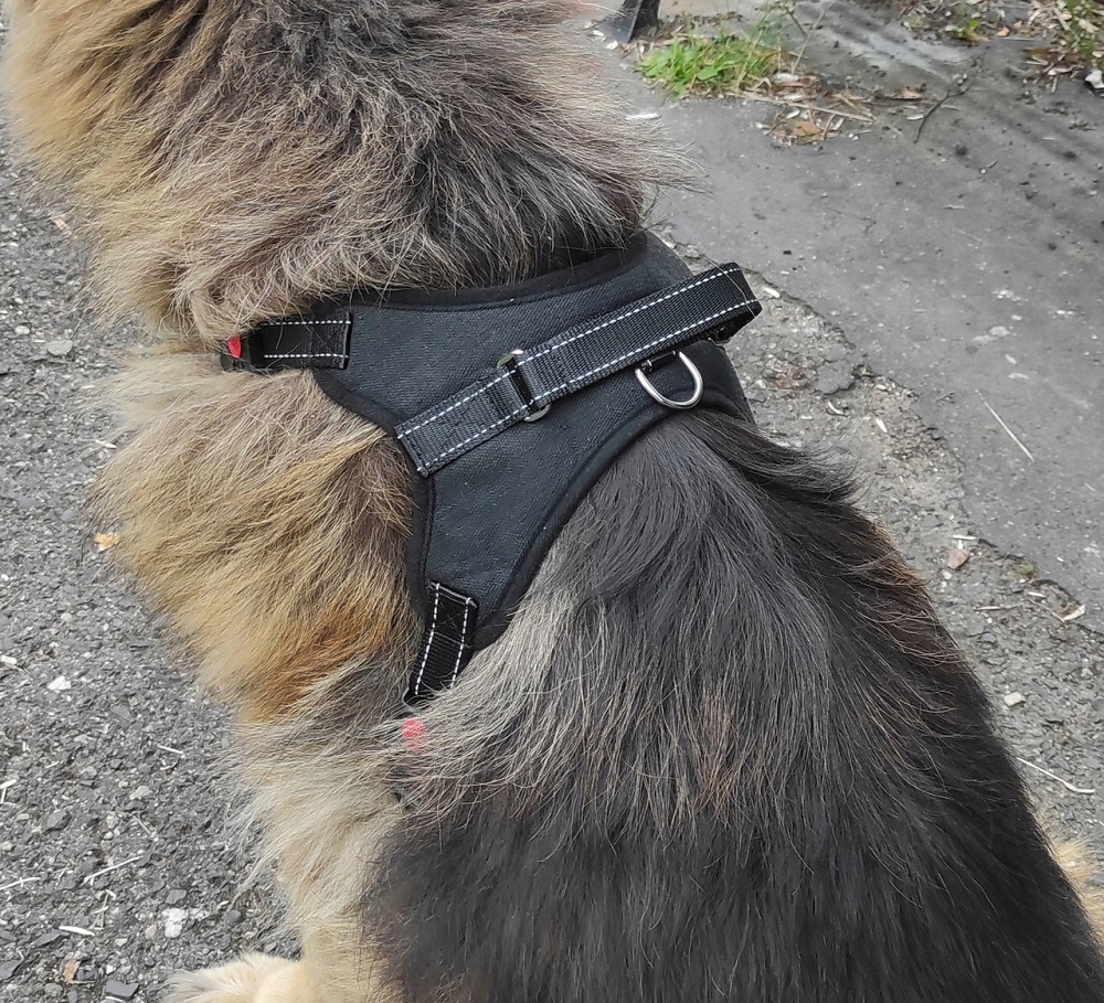 Шлейка без давления с ручкой для средних пород собак 