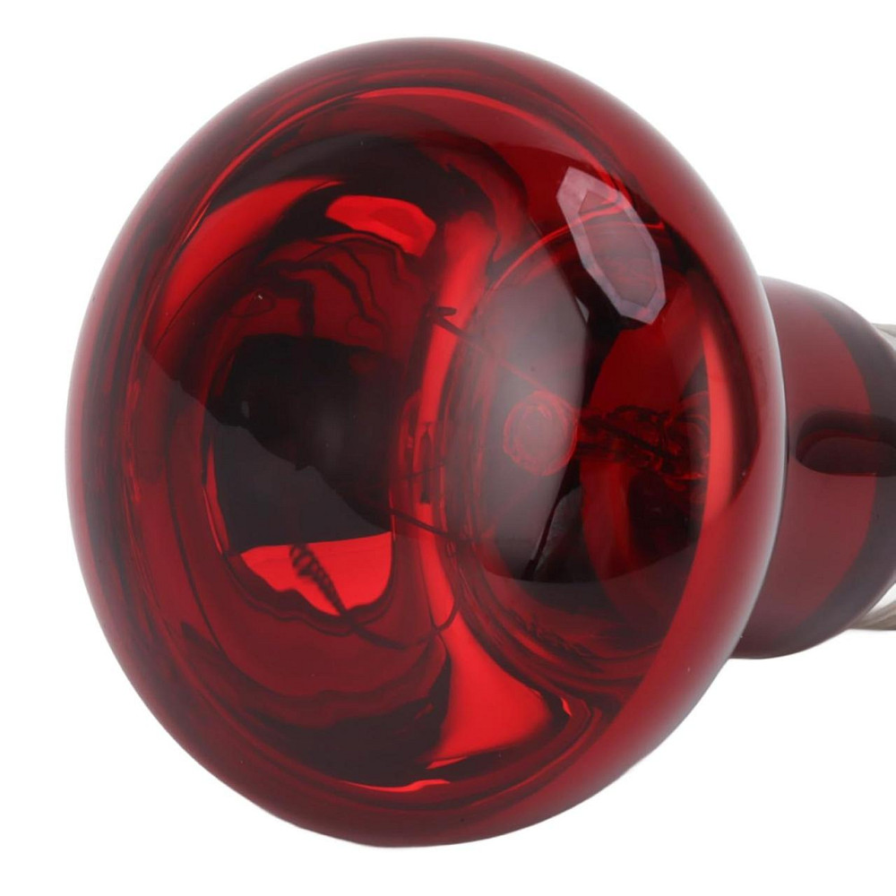 Инфракрасная лампа 100 Вт для террариумов и рептилий Киев - изображение 10