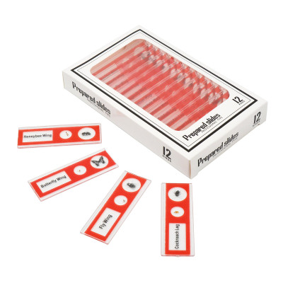 Набір мікропрепаратів Sigeta Entrance Будова комах (12 шт) (65122) Вінниця - фото 2