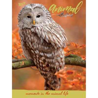 Блокнот Yes 140*185/96 л "Wild force" линия (151483) Винница