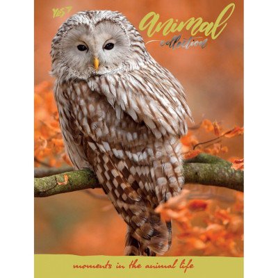 Блокнот Yes 140*185/96 л "Wild force" линия (151483) Винница - изображение 2