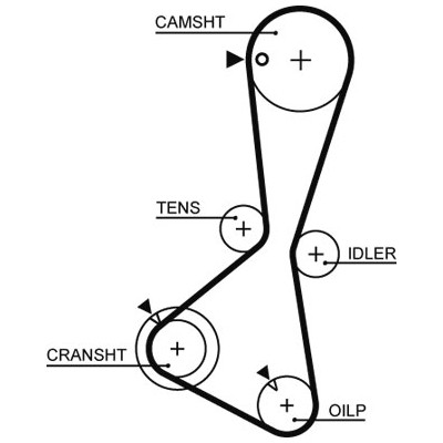 Ремінь ГРМ Gates 5374XS Вінниця - фото 1