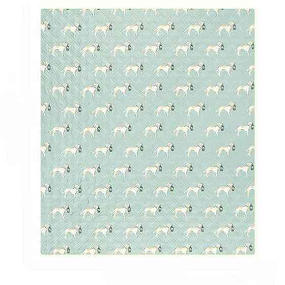 Килимок для пікніка Naturehike CNK2350WS010 210*240 см, блакитний із принтом Київ