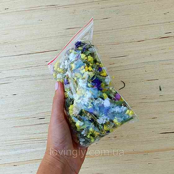 Сухоцвет статицы для декора микс цветов 30 г. Ирпень