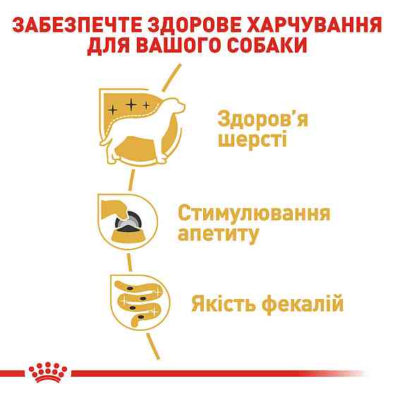 Вологий корм для дорослих собак Йоркшир-тер'єр ROYAL CANIN YORKSHIRE ADULT 0.085 кг Київ