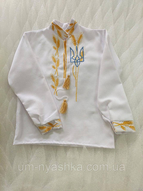 Хлопчача натуральна вишиванка "Колоски-тризуб" 98-164 Кривий Ріг - фото 3
