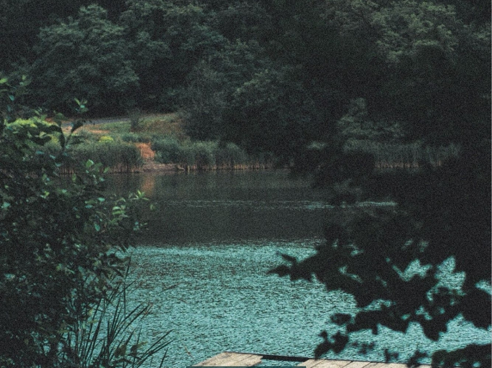 Фотоапарат Nikon D3100 тільки Гармата. Київ - фото 1