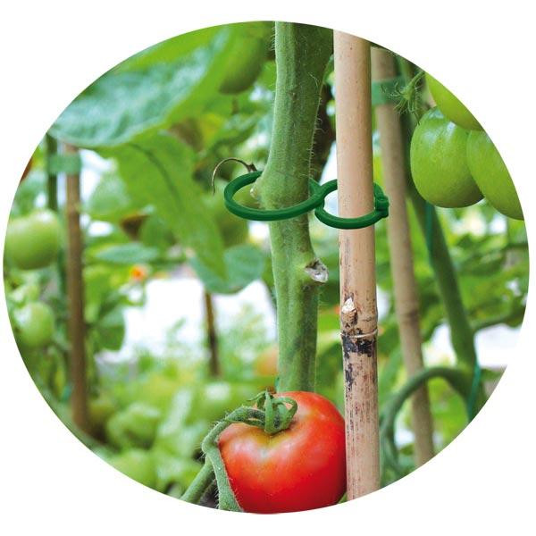 Зажим для крепления растений 2 розміри 40шт. Bradas, Польша Киев - изображение 3