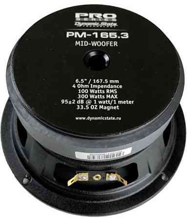 Естрадна акустика Dynamic State PM-165.3 PRO. Харьков
