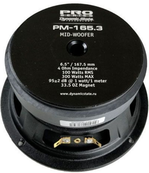 Естрадна акустика Dynamic State PM-165.3 PRO. Харьков - изображение 2