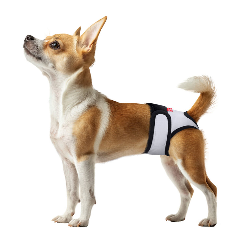 Трусы гигиенические для кошек и собак WAUDOG Vet на липучках, серый, L, А 48-60 см, В 16 см Киев - изображение 2