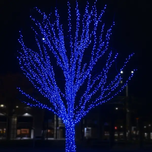 Гірлянда Нитка вулична 30 (м) 300 LED чорний провід Синій CF300L30MBBL Коломыя - изображение 1