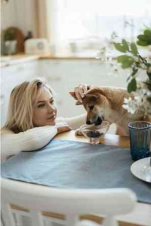 Мягкое лакомство для собак Сейвори Savory Immunity Support Soft Snacks с уткой и шиповником 200 г Винница