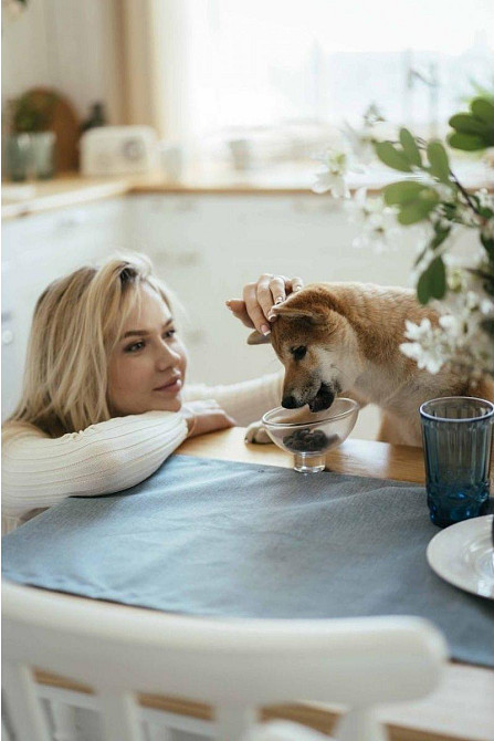 Мягкое лакомство для собак Сейвори Savory Immunity Support Soft Snacks с уткой и шиповником 200 г Винница - изображение 4