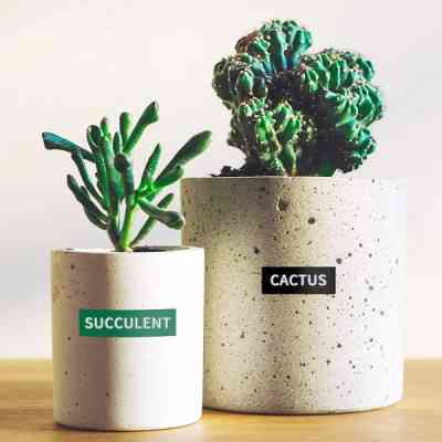 Лента для принтера этикеток UKRMARK D-520102-RE, 9 мм х 3 м, червона, аналог DYMO 520102 / S0898150 (900858) Винница