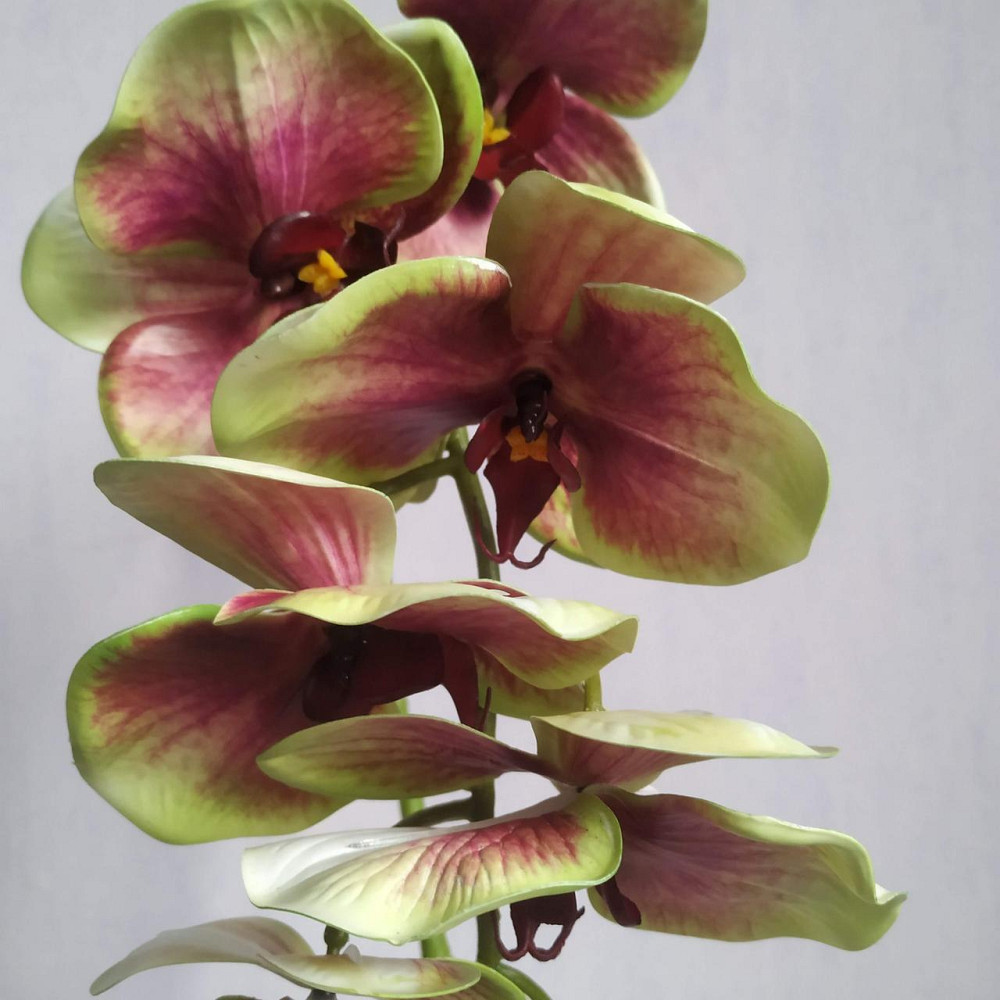 Штучна латексна орхідея VIP в салатовому керамічному кашпо на одну гілку салатово-рожева Дніпро - фото 3