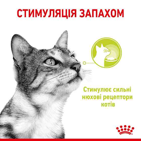 Вологий корм для дорослих котів ROYAL CANIN SENSORY SMELL GRAVY 0.085 кг, cтимулює нюхові рецептори Київ