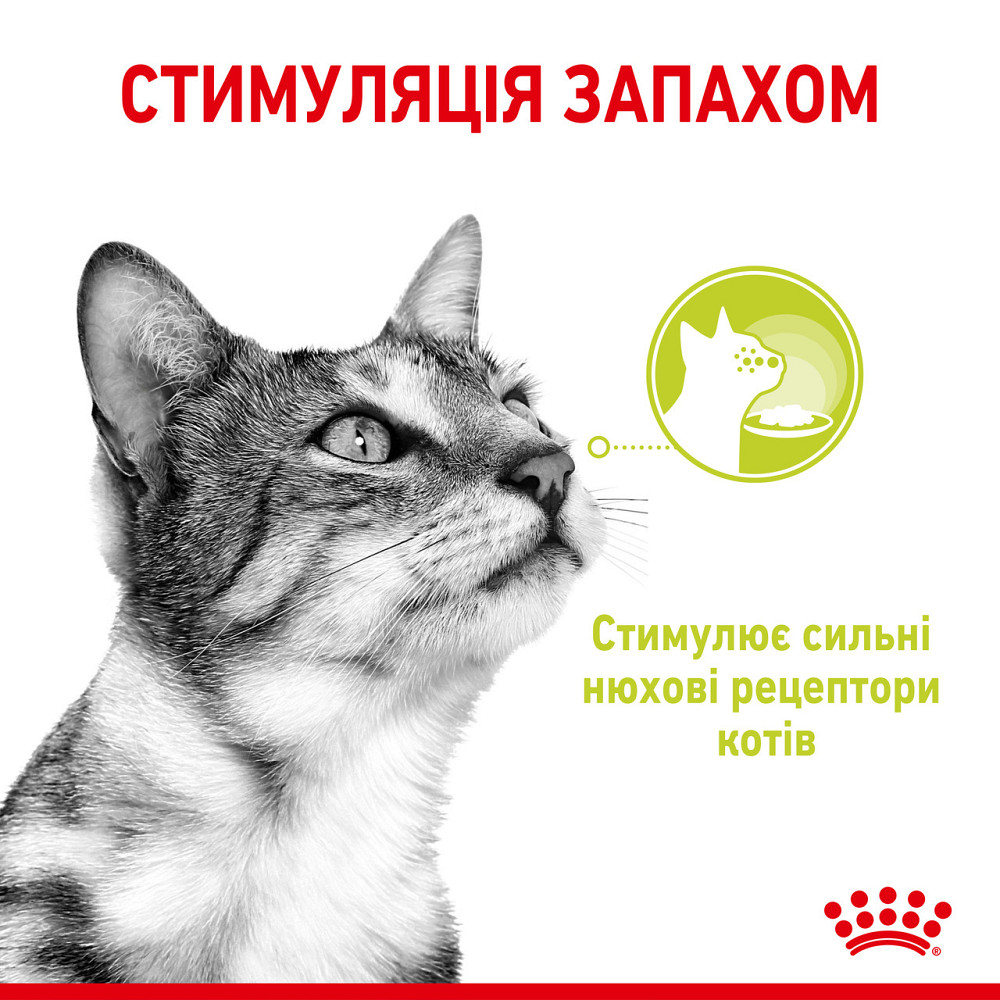 Влажный корм для взрослых кошек ROYAL CANIN SENSORY SMELL GRAVY 0.085 кг, стимулирует обонятельные рецепторы Киев - изображение 3