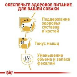 Royal Canin Dachshund Adult (Роял Канін Даксхунд Едалт) сухий корм для собак породи такса від 10 місяців Запоріжжя - фото 4