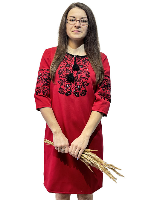 Жіноча червона вишита сукня  з чарівною квітковою чорною вишивкою Київ - фото 1
