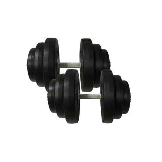 Гантели наборные композитные в пластиковой оболочке 2 шт по 19,5 кг Rock Pro-R NE-PL-R-019-2 Винница